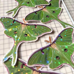 May include: A collection of die-cut stickers featuring green Luna moths with long, trailing hindwings. Each moth displays a detailed wing pattern with dark eyespots and a holographic finish that reflects light as small, colourful star-shaped sparkles.