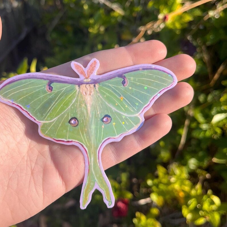May include: A die-cut sticker shaped like a Luna moth with pale green wings, a light purple border, and two small pink circular accents on the wings. The wings feature a subtle holographic star pattern that catches the light, and the moth has a fuzzy, light-coloured body with orange-toned antennae at the top.