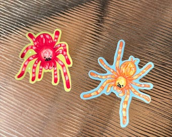 Colourful Tarantula Spider Sticker Set | Vibrant Vinyl Decal | Arachnid Art Sticker | Waterproof