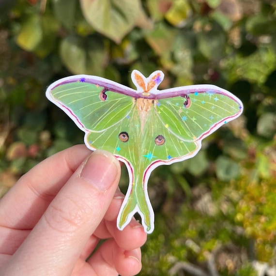 Holographic Glitter Luna Moth Sticker: Mystical Insect Decal | Waterproof