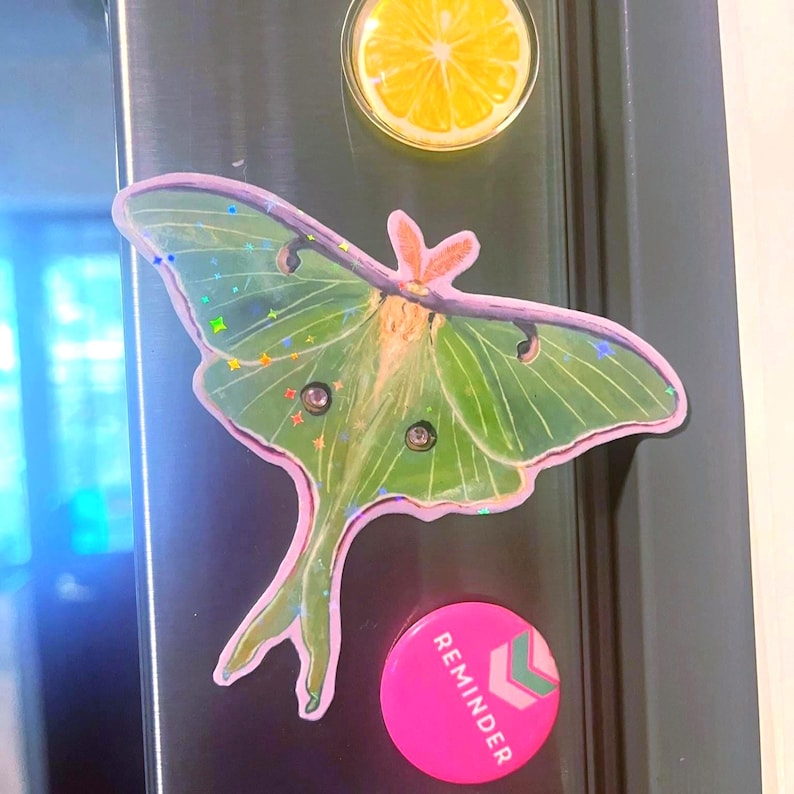 May include: A die-cut sticker of a green luna moth with holographic star accents and a light purple border. Above it is a circular lemon slice magnet, and below it is a round pink magnet with the word REMINDER and a chevron graphic.