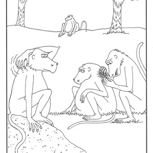 面白い漫画ジョーク - 動物 - ヒヒのジョーク - 風変わりなユーモア