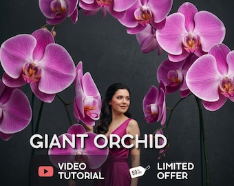 Orquídea Gigante de Espuma EVA – Tutorial + Moldes – PDF – Vídeo Tutorial – Suporte para Exposição – Flor Grande