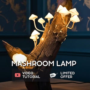 Mushroom Lamp Video Tutorial: Foam Mashroom Step-By-Step Video