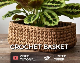 May include: A brown crochet basket holding a houseplant with green and maroon leaves. The basket is rectangular and sits on a wooden surface. Text on the image reads "CROCHET BASKET", "VIDEO TUTORIAL", and "LIMITED OFFER".