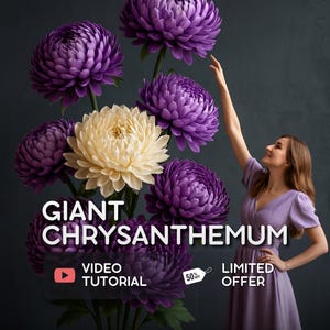 Könnte beinhalten: Eine Anordnung riesiger Chrysanthemenblüten in Dunkelviolett und Cremeweiß. Der Text GIANT CHRYSANTHEMUM ist zu sehen, zusammen mit den Hinweisen VIDEO TUTORIAL, 50% OFF und LIMITED OFFER. Eine Person in einem hellvioletten Kleid steht daneben.