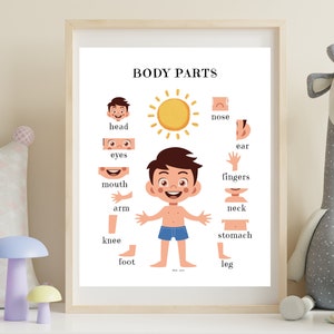 Body Parts Educational Poster Printable Wall Art Digital - Etsy UK