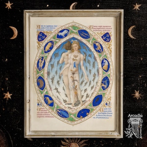 May include: A framed medieval-style manuscript illustration featuring a central human figure with zodiac symbols overlaid on the body, surrounded by an oval border containing twelve blue and gold zodiac signs, Latin text, and decorative floral motifs.