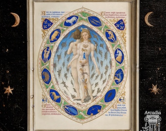 Anatomiczny człowiek zodiakalny, średniowieczny rękopis, plakat astrologiczny w stylu vintage, bracia Limbourg