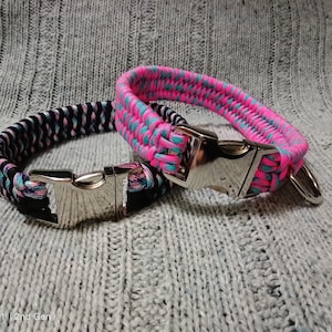 Custom trilobite paracord dog collar