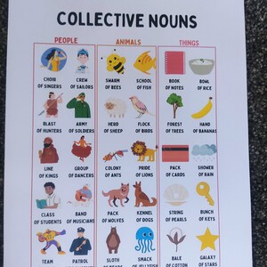 Collective Nouns Printable Poster for Kids - Etsy