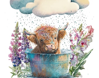 Vaca de las tierras altas mojada bajo la lluvia, digital descargable, transparente, PNG y JPEG, impresión por sublimación, imágenes prediseñadas