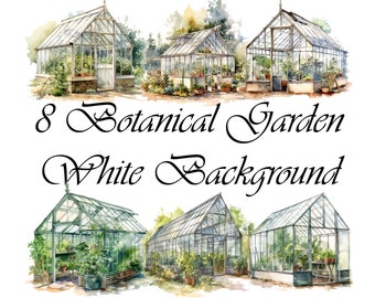 8 giardino botanico, giardino fiorito, sfondo bianco, clipart, design t-shirt, Wall Art, sublimazione, scaricabile, stampabile, png digitale