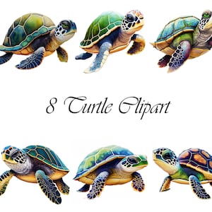 8 Watercolor Sea Turtle Clipart: JPG Images (Digital Download)