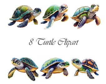8 Sea Turtle Clipart, JPG, Uso commerciale, Download digitale, Mestieri di carta, Riviste spazzatura, Clipart acquerello,acquerello clipart tartaruga marina