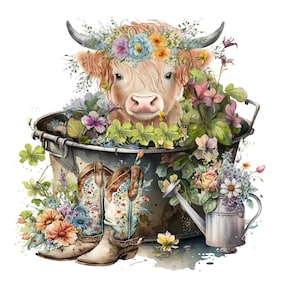 Highland longhaired Cow PNG, cute cow sublimation, transparents paiting, cowboy boot clipart, Highland calf PNG digital download.