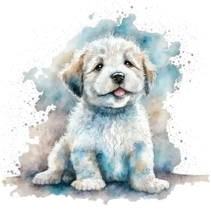 cute fluffy dog, watercolor, t-shirt design, sublimation, printable png, downloadable png, transparent file,