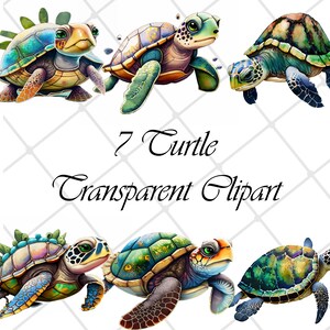 7 Sea Turtle Watercolor Clipart: PNG Digital Download