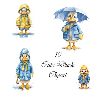 10 cliparts canetons, bébé canard clipart, caneton, clipart animal, canard aquarelle, illustration numérique, JPG, usage commercial, téléchargement numérique