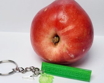 Peachyylexi Green and Silver Keyring Key Chain can be personalised!!