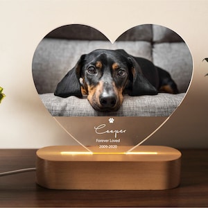 Pet Memorial Custom Acrylic Heart Night Light | Personalized Bedroom LED Decor Sign | Light up Sign | Gift for Pets