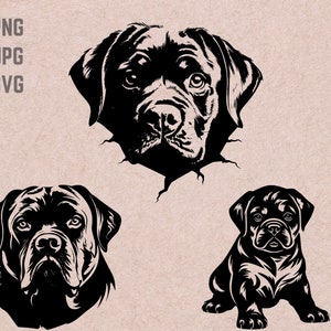 Rottweiler SVG designs, dog logo, dog lover vector,funny dog PNG, dog breed bundle clipart, pet silhouette ,T-shirt Printable