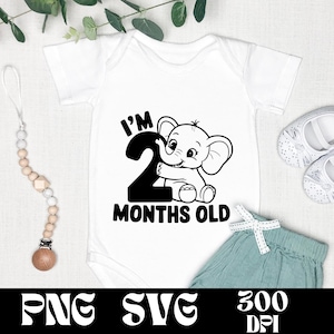 I'm 2 Months Old SVG & PNG Design | Baby Month Marker | Cute Baby Lion Cartoon | Milestone Vector Graphic | Gift for Baby | New Born Vector