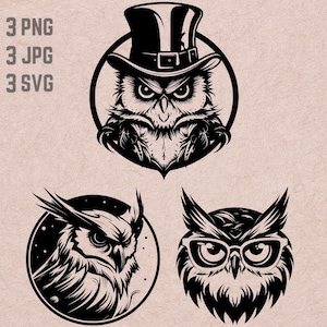 Desenhos SVG de coruja, logotipo de coruja, vetor de coruja com chapéu, óculos PNG, pacote de coruja engraçado, clipart de pássaros