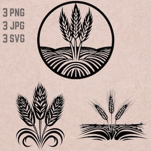 Wheat SVG designs, Wheat logo, Wheat vector, Wheat Field png, Wheat bundle, Wheat Clipart