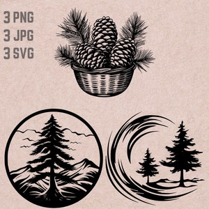 Disegni SVG di albero di pino, logo pino, vettore pigna, PNG foresta, bundle albero di pino, clipart natura