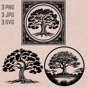 Modèles SVG chêne, logo chêne, arbre vectoriel, forêt PNG, lot de chênes, cliparts nature