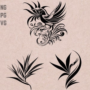 Desenhos SVG de ave do paraíso, logotipo de Strelitzia, vetor de flores, ave do paraíso png, pacote de Strelitzia, clipart de flores