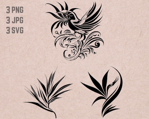 Bird of Paradise SVG Designs, Strelitzia Logo, Flower Vector, Bird of  Paradise Png, Strelitzia Bundle, Flowers Clipart - Etsy