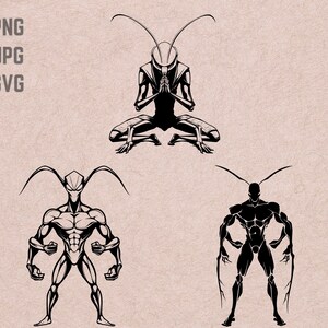 May include: Three black and white illustrations of a praying mantis. The first mantis is in a yoga pose with its arms folded in front of its chest. The second mantis is standing with its arms bent at the elbows and its fists clenched. The third mantis is standing with its arms extended to the sides and its hands open.