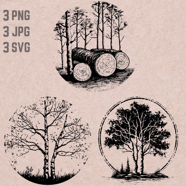 Birch Tree SVG designs, Birch logo, Birch Logs vector, Forest PNG, Birch Tree bundle, Nature Clipart