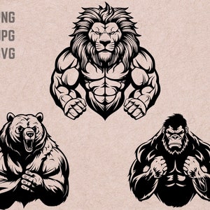 Designs svg de fisiculturista, vetor de logotipo de academia, PNG de fitness de urso gorila leão, clipart de pacote de treino, silhueta de levantamento de peso, camiseta para impressão