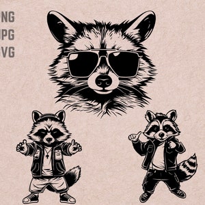 Dessins svg de raton laveur avec des lunettes de soleil, vecteur de logo de raton laveur, lunettes de soleil PNG, clipart urbain raton laveur, animaux rigolos JPG, T-shirt imprimable