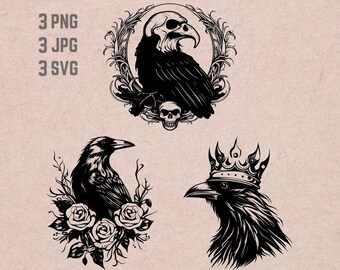 Raven SVG designs, Raven logo, Crown vector, Skull PNG, Crow bundle, Raven with Books JPG, Birds Clipart