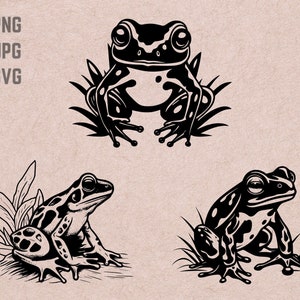 Puede incluir: Tres ilustraciones en blanco y negro de ranas. La primera rana está sentada en un parche de hierba. La segunda rana está sentada en una hoja. La tercera rana está sentada en una roca.