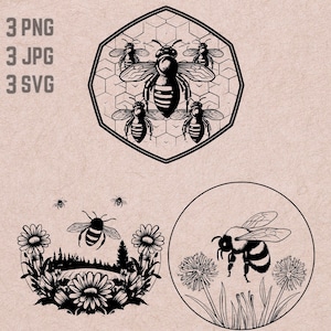 Bee SVG ontwerpen, Bee logo, Bijenkoningin vector, Hive PNG, Bee bundel, Honingraat Clipart, Honing jpg, Bloemen vector
