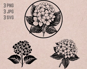 Hydrangea SVG, Hydrangea Flower SVG, Hydrangea Clipart, Hydrangea Files ...
