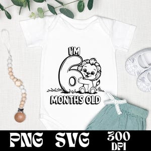 Ik ben 6 maanden oud SVG- en png-ontwerp | Babymaandmarkering | Schattige babyleeuw cartoon | Mijlpaalvectorafbeelding | Cadeau voor baby | Pasgeboren vector