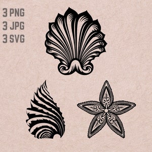 May include: Three black and white illustrations of seashells and a starfish. The first illustration is a detailed seashell with a scalloped edge. The second illustration is a seashell with a spiral shape. The third illustration is a starfish with a detailed design.