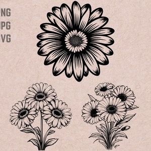 Gerbera SVG designs, Gerbera logo, Flower vector, Gerbera Bouquet png, Gerbera bundle, Flowers Clipart