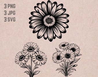Gerbera SVG ontwerpen, Gerbera logo, bloem vector, Gerbera boeket png, Gerbera bundel, bloemen clipart
