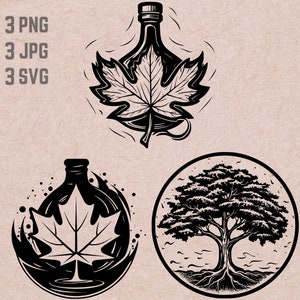 Ahorn Baum SVG-Designs, Ahorn Logo, Ahornsirup Vektor, Wald PNG, Ahorn Bündel, Natur Clipart