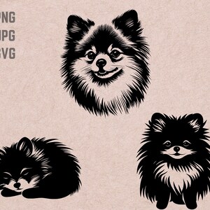 May include: Three black and white illustrations of Pomeranian dogs. One dog is sitting, one is sleeping, and one is standing with its head tilted.