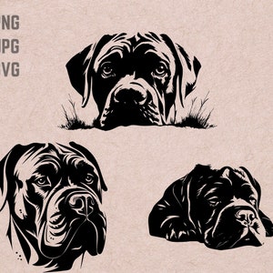 Cane Corso SVG designs, dog logo, dog lover vector, funny dog PNG, dog breed bundle clipart, pet silhouette ,T-shirt Printable