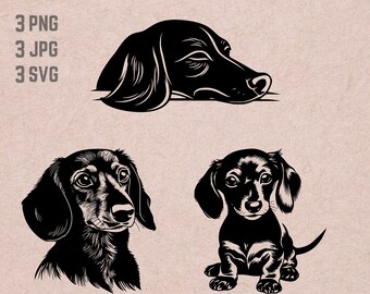 Dachshund SVG designs, dog logo, dog lover vector,funny dog PNG, dog breed bundle clipart, pet silhouette ,T-shirt Printable
