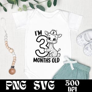 Ik ben 3 maanden oud SVG- en png-ontwerp | Babymaandmarkering | Schattige babyleeuw cartoon | Mijlpaalvectorafbeelding | Cadeau voor baby | Pasgeboren vector
